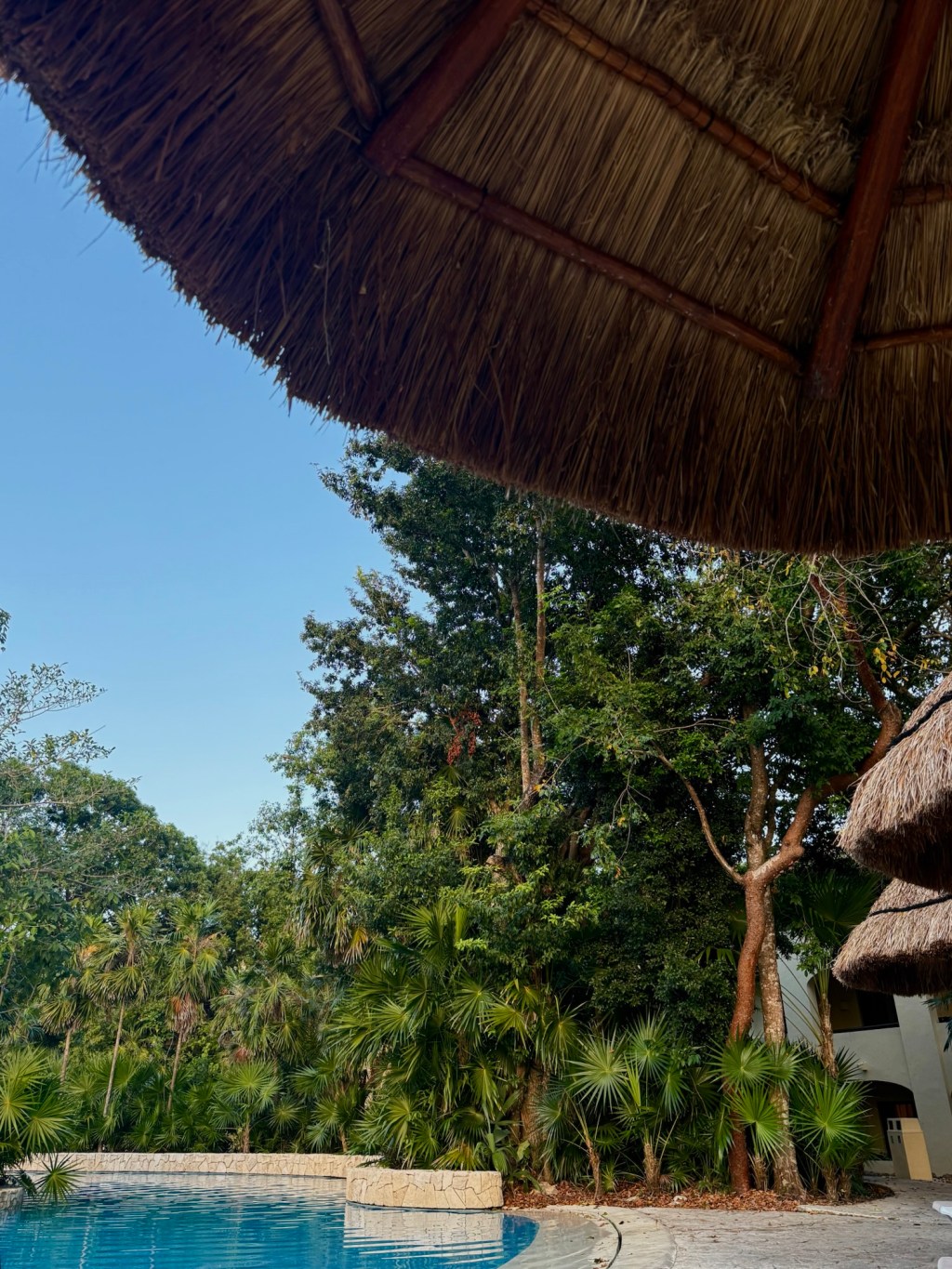 Why my first all-inclusive trip was my&nbsp;last